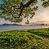 宮古島 移住・定住 - sunset, nature background, sand, beach, islands, leaf, subtropical, beautiful nature, okinawa, japan, nature, landscape, hd wallpapers, hd wallpaper, nature wallpaper