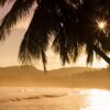 宮古島 移住・定住 - beach, sea, waves, ocean waves, island, tropical island, palm trees, coast, coastline, shore, nature, ocean, palms, trees, seashore, sunrise, sunset, water, beach, beach, island, palm trees, palm trees, palm trees, palm trees, palm trees, trees