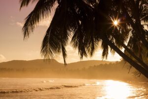 宮古島 移住・定住 - beach, sea, waves, ocean waves, island, tropical island, palm trees, coast, coastline, shore, nature, ocean, palms, trees, seashore, sunrise, sunset, water, beach, beach, island, palm trees, palm trees, palm trees, palm trees, palm trees, trees