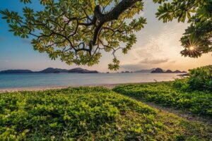 宮古島 グルメ・食事 - sunset, nature background, sand, beach, islands, leaf, subtropical, beautiful nature, okinawa, japan, nature, landscape, hd wallpapers, hd wallpaper, nature wallpaper