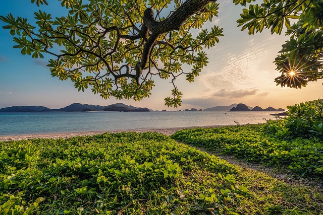 宮古島 グルメ・食事 - sunset, nature background, sand, beach, islands, leaf, subtropical, beautiful nature, okinawa, japan, nature, landscape, hd wallpapers, hd wallpaper, nature wallpaper