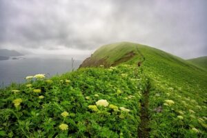 宮古島 ニュース・話題